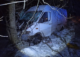 ДТП на трасах у Житомирській області: фура в’їхала у легковик, мікроавтобус врізався в дерево