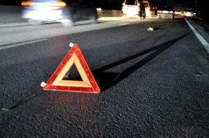 У селі Житомирської області Opel врізався в електроопору, водій загинув