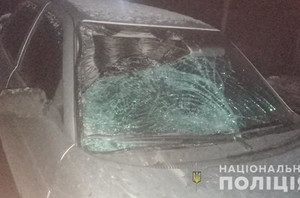 У Новоград-Волинському районі нетверезий водій ВАЗ збив пішохода: 29-річна жінка у реанімації