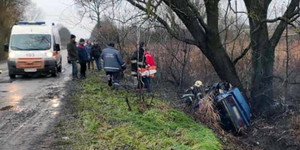 На Житомирщині автомобіль врізався у дерево - загинули люди