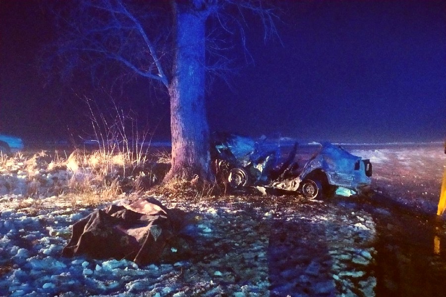 Skoda Octavia врізалась в дерево і загорілась. Тіла трьох загиблих деблокували з пошкодженого авто