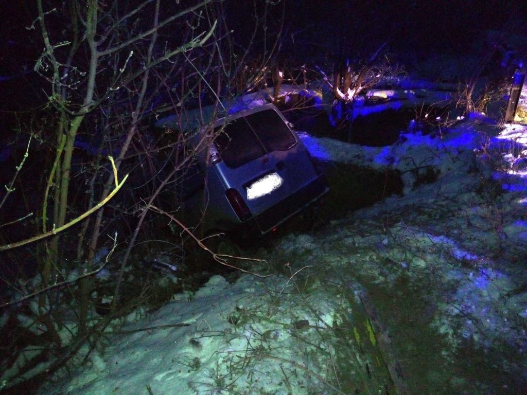 На Житомирщині в кюветі опинився мікроавтобус, рятувальники відігрівали водія та пасажира Изображение 2