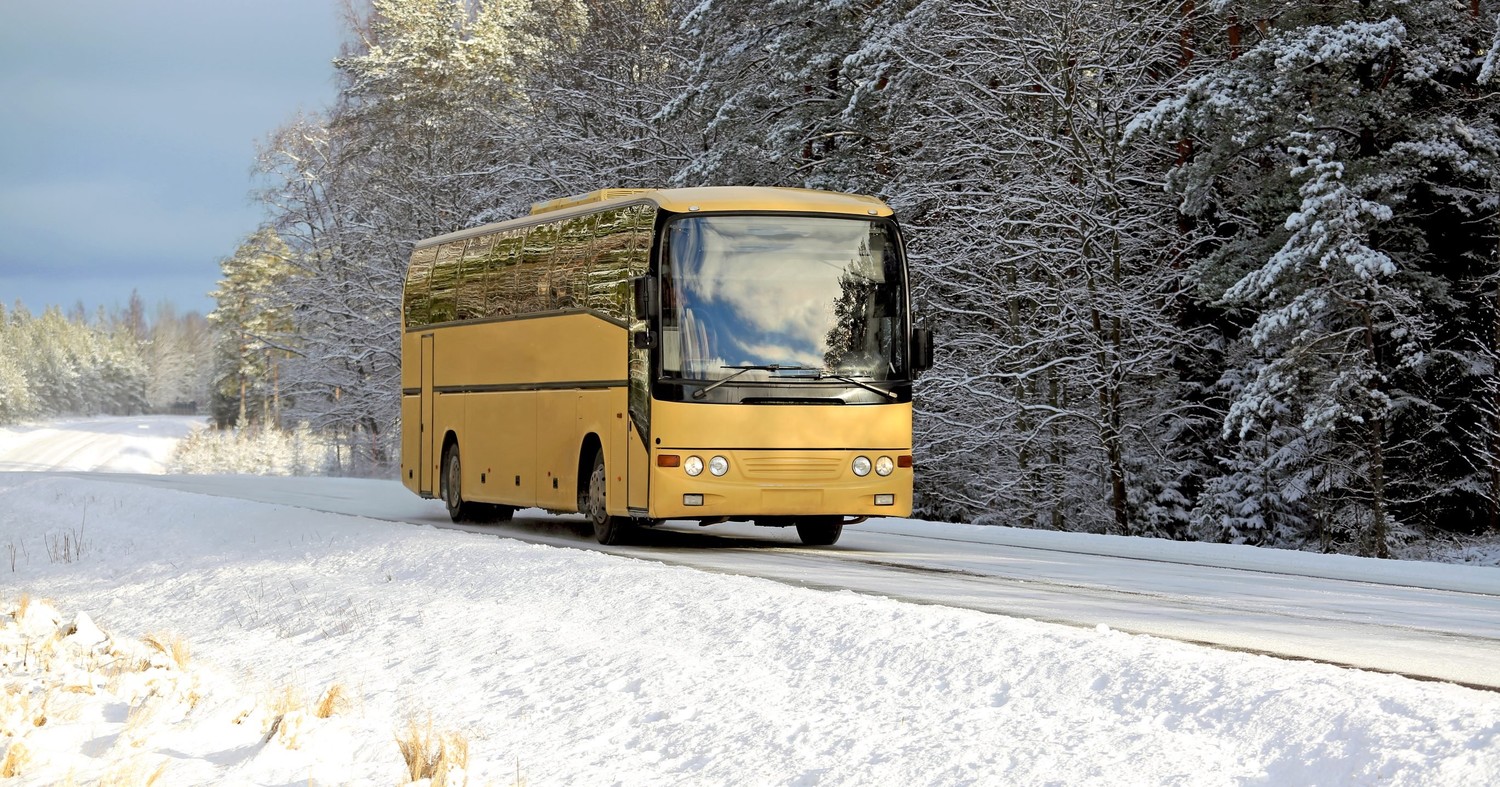 Водії автобусів скаржаться на нерозчищені дороги в Житомирській області, деякі рейси скасовані