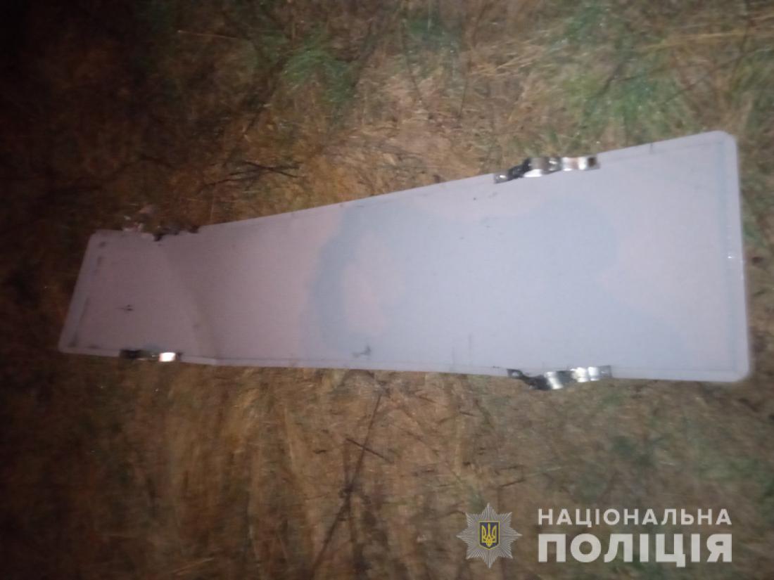 Водії вказали поліції на двох чоловіків, які на трасі у Житомирській області спилювали дорожній знак Изображение 2