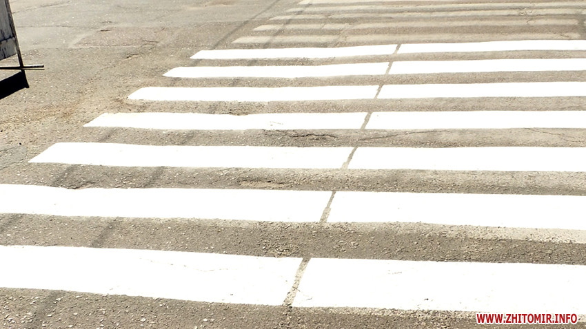 У Житомирі наносять розмітку на пішохідних переходах, а на магістральних вулицях почнуть після розблокування тендеру. ВІДЕО Фото 3