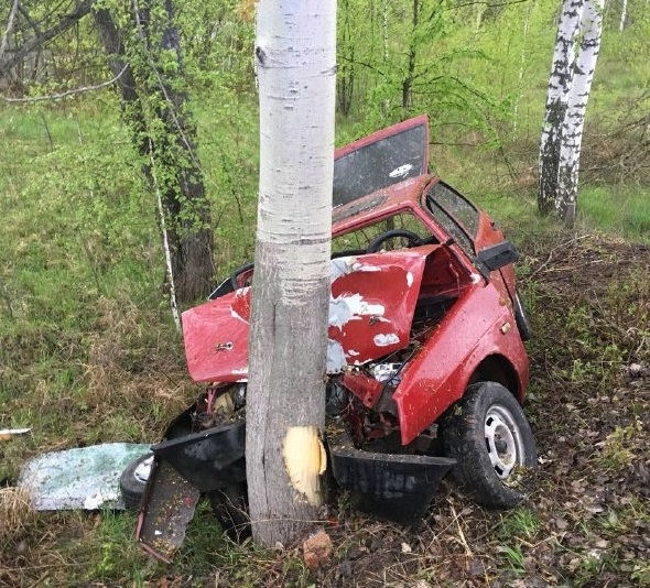 На околиці Житомира ВАЗ з’їхав у кювет та врізався в дерево, водій травмувався Фото 1
