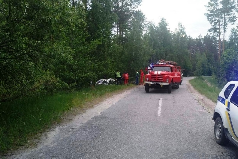 На трасі у Житомирській області рятувальники деблокували двох травмованих чоловіків з понівеченого в ДТП автомобіля Изображение 2