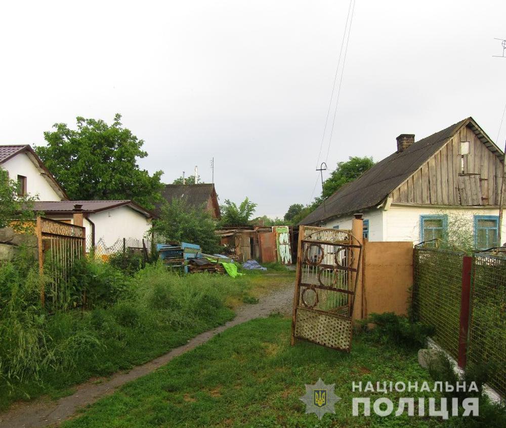 Двоє юнаків у Житомирській області поїхали в поле кататись на викраденому ВАЗ і потрапили в ДТП Изображение 2