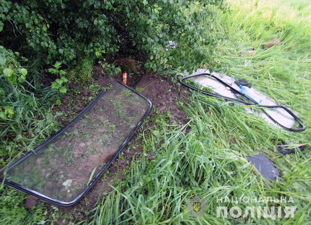 Двоє юнаків у Житомирській області поїхали в поле кататись на викраденому ВАЗ і потрапили в ДТП Фото 3