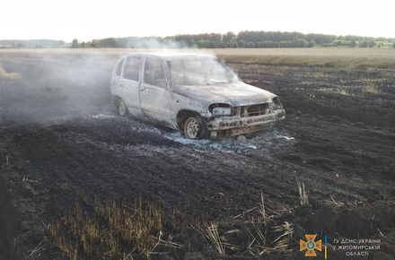 На полі у Житомирській області згорів автомобіль і два гектари пшениці навколо нього