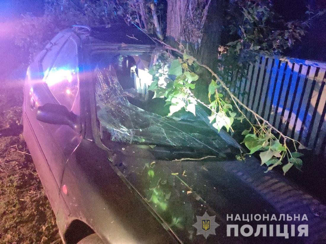 У Бердичівському районі Ford в’їхав у дерево: водій загинув на місці Изображение 2